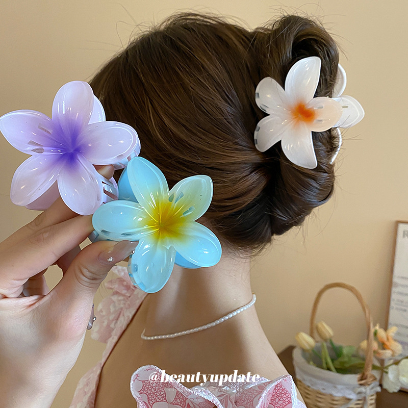 Crystal Flower Acrylic Hair Cl - đánh giá và giá Travel Accessories Hong Kong